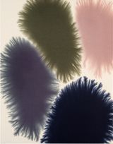 Intuition 64 by Giacomo Santiago Rogado contemporary artwork painting works on paper photography print