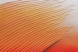 Group Exhibition