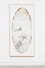 Host by Joyce Campbell contemporary artwork photography
