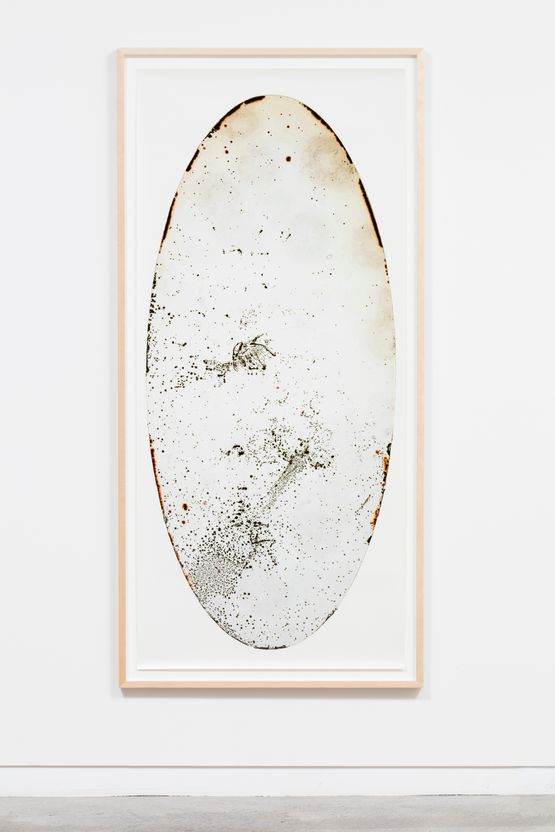 Host by Joyce Campbell contemporary artwork Photography