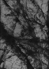 by Chen Xiaoyi contemporary artwork print works on paper