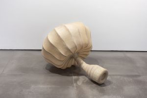 Angelo Venosa