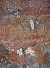 Big Swamp Middle Swamp and End Swamp by Mavis Ngallametta contemporary artwork Painting