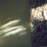Indischer Wandteppich by Peter Nadas contemporary artwork print