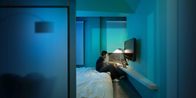 Accelerated Intimacy Matthew Chen by Sarah Choo Jing contemporary artwork Photography