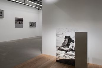 Contemporary art exhibition Shiho Yoshida Hallucination at Yumiko Chiba Associates Tokyo Japan