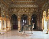 The Return of the Hunter Chandra Mahal Jaipur Palace Jaipur by Karen Knorr contemporary artwork photography print