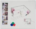 Oo Fifi Beyler Foundation by Diana Thater contemporary artwork Works on Paper