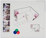 Oo Fifi Beyler Foundation by Diana Thater contemporary artwork works on paper print drawing