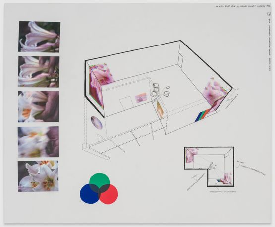 Oo Fifi Beyler Foundation by Diana Thater contemporary artwork Works on Paper