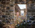 Rianna Chartoun Lebanon by Rania Matar contemporary artwork Print