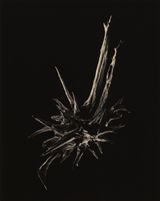 3041 Free at last by Yamamoto Masao contemporary artwork photography