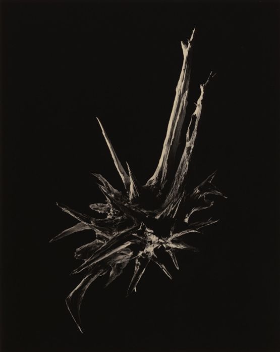 3041 Free at last by Yamamoto Masao contemporary artwork Photography