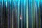 Forest by Hyo Myoung Kim contemporary artwork Print