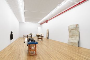 Contemporary art exhibition Liz Magor I Have Wasted My Life at Andrew Kreps Gallery 22 Cortlandt Alley United States