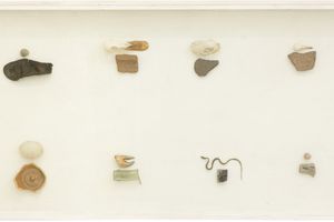 Lois Weinberger