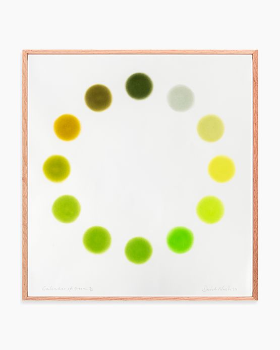 Calendar of Green by David Nash contemporary artwork Painting