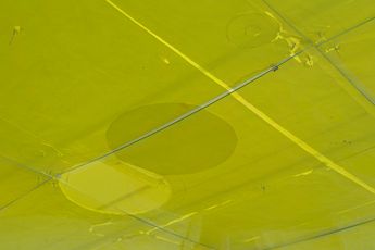 Contemporary art exhibition Ian Kiaer Endnote yellow at Barbara Wien Berlin Germany