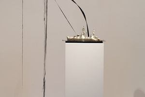 Caroline Rothwell