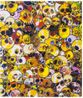 MGST 1962- 2011 by Takashi Murakami contemporary artwork Print