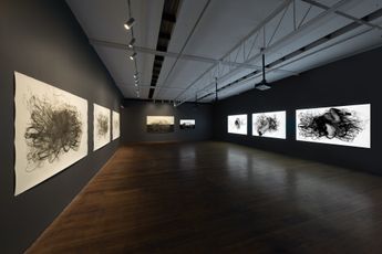Contemporary art exhibition Julie Rrap The Dust of History at Roslyn Oxley9 Gallery Sydney Australia