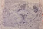 Tarika Sabherwal contemporary artist