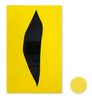 Yellow Nude 8 and Companion Painting 8 by Gary Hume contemporary artwork Painting