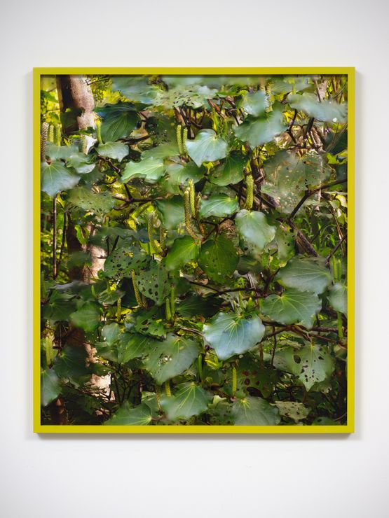 A Ruse iv by Shaun Waugh contemporary artwork Photography
