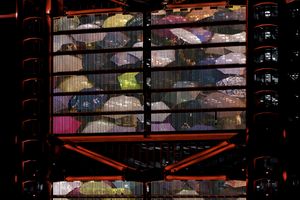 Andreas Gursky