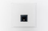 JULY.28 1989 Pieris napi White Line Squares by Henrik Hakansson contemporary artwork sculpture