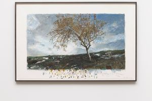 David Claerbout