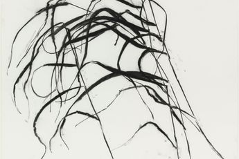Susan Hartnett contemporary artist