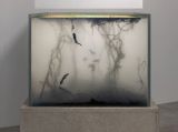 Nympheas Transplant 14 -18 by Pierre Huyghe contemporary artwork installation