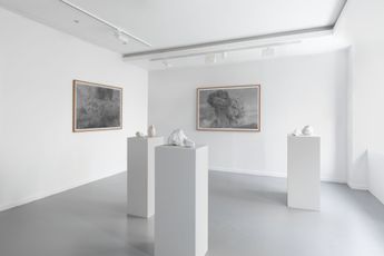 Contemporary art exhibition Thu Van Tran Beyond the need for consolation at Almine Rech Paris Rue de Turenne France