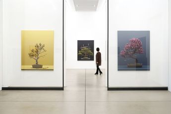 Contemporary art exhibition Erin Wright Nearly Natural at MAKI Tennoz Tokyo Japan