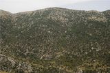Jabal Barouk et Jabal Niha by Nadim Asfar contemporary artwork painting