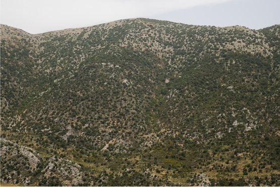 Jabal Barouk et Jabal Niha by Nadim Asfar contemporary artwork Painting