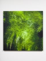 My Titirangi Years - the persistence of memory by Elizabeth Thomson contemporary artwork painting