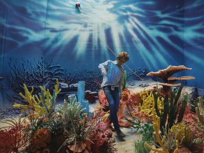 Inside Rinus Van de Veldes Imaginary Landscapes