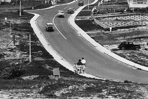 Marti Friedlander
