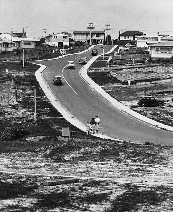 Suburban Development Henderson Auckland 1966 by Marti Friedlander contemporary artwork Photography