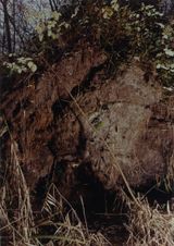 Earth by Samuel Laurence Cunnane contemporary artwork photography print