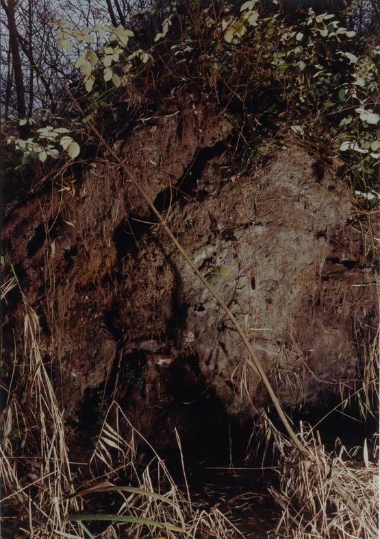 Earth by Samuel Laurence Cunnane contemporary artwork Photography