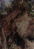 Earth by Samuel Laurence Cunnane contemporary artwork Photography