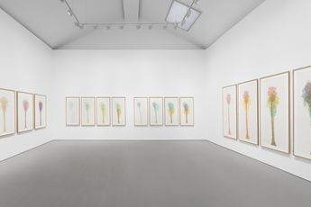 Contemporary art exhibition Charles Gaines Gridwork Palm Canyon Watercolors at Galerie Max Hetzler Paris France