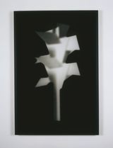 Concrete Autumn Phantom Tree by Martin Boyce contemporary artwork photography