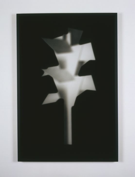 Concrete Autumn Phantom Tree by Martin Boyce contemporary artwork Photography