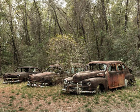 Car Junkyard Crawfordville by Anastasia Samoylova contemporary artwork Print