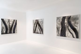 Contemporary art exhibition Bae Bien-U  PART MEET at Axel Vervoordt Gallery Coda Designer Centre Hong Kong