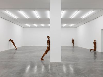Antony Gormleys Sculptural Labyrinth at White Cube